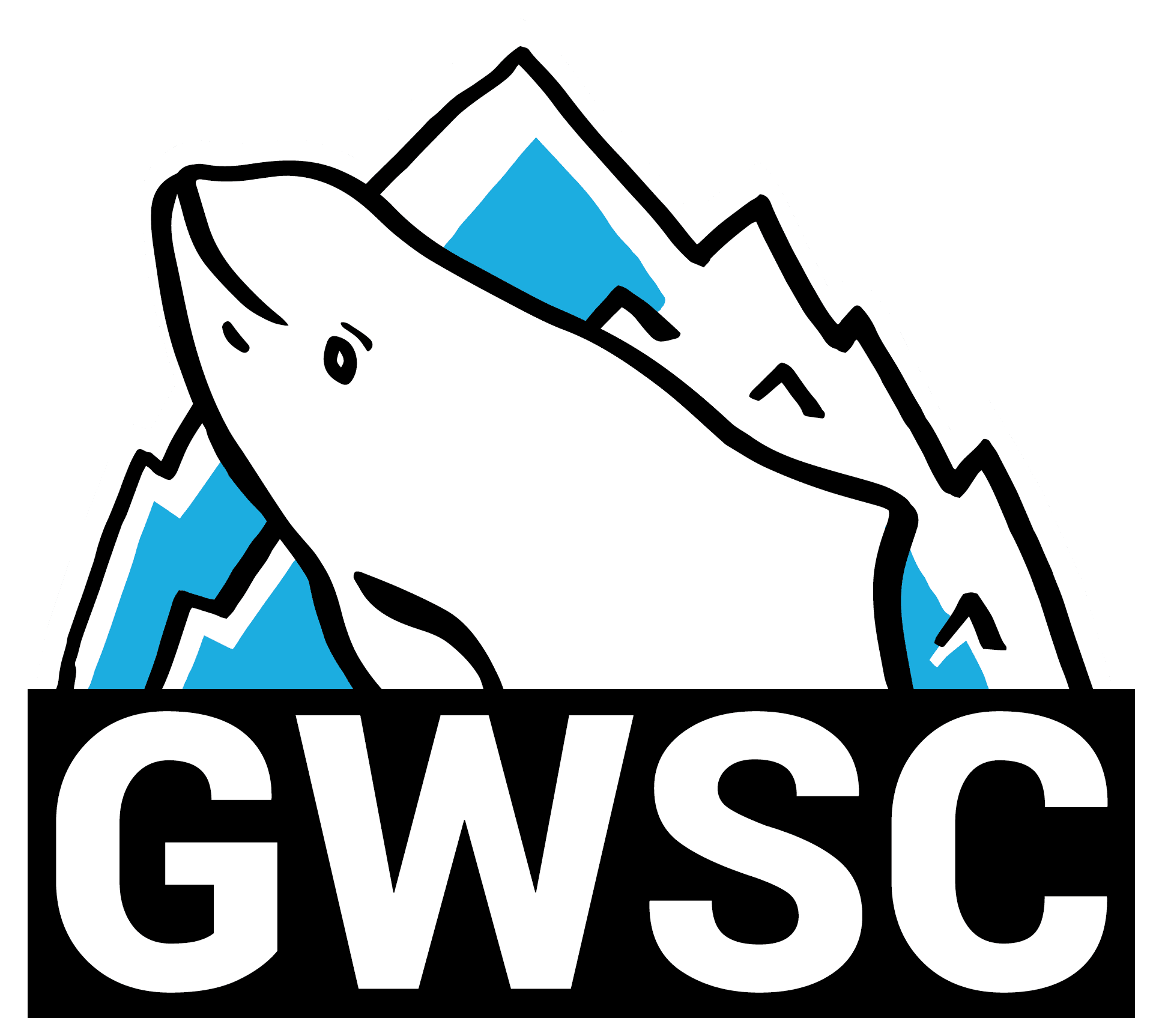 GWSC GDYNIA WINTER SWIMMING CUP